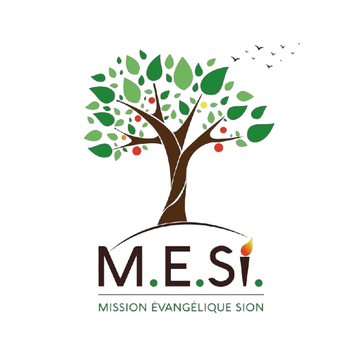 Logo M.E.SI